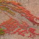 Illustration for article titled 48 Stunning Photos of Fall
